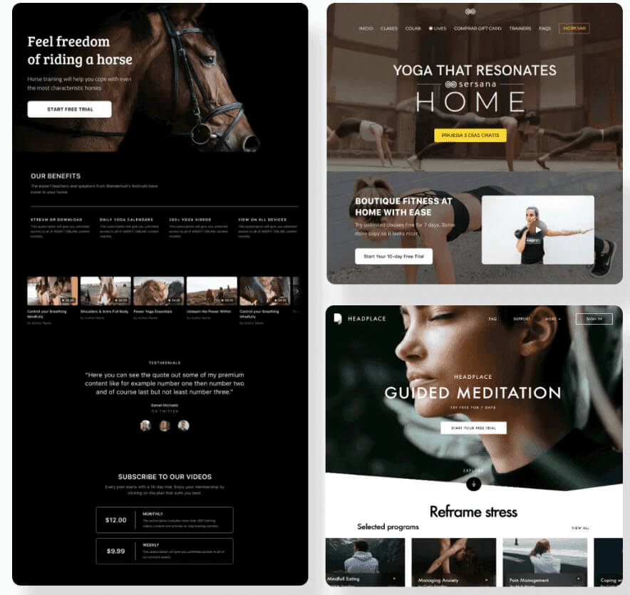 website theme template examples