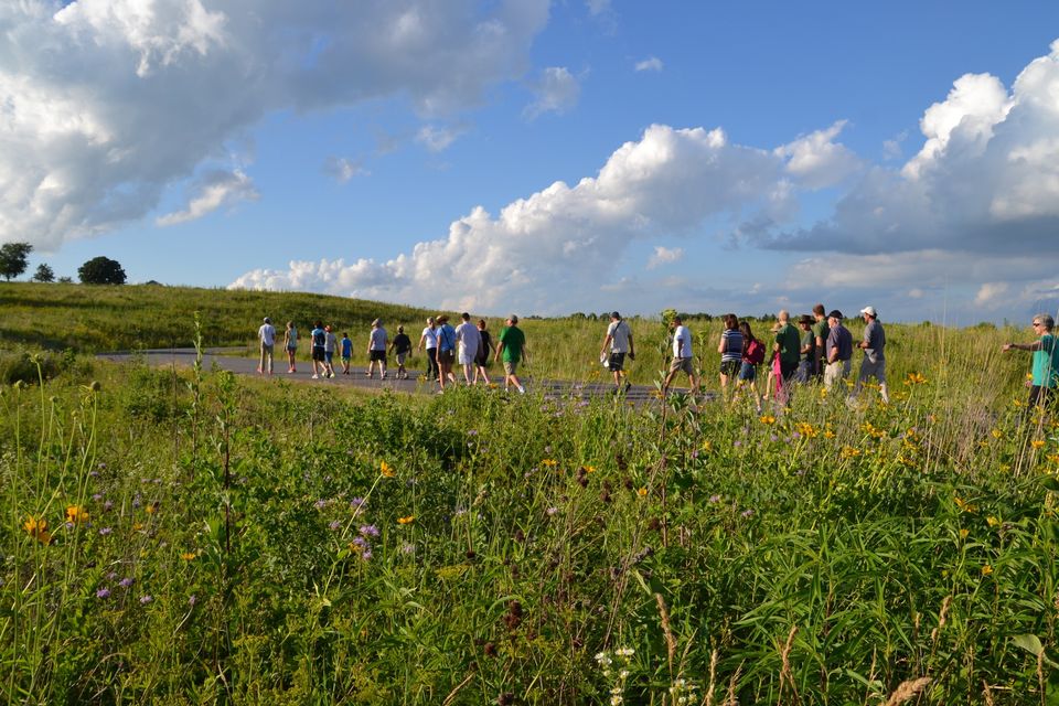 A group of people strolls along a path through a grassy field with wildflowers under a partly cloudy blue sky.