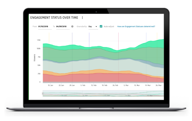 Brightcove insights